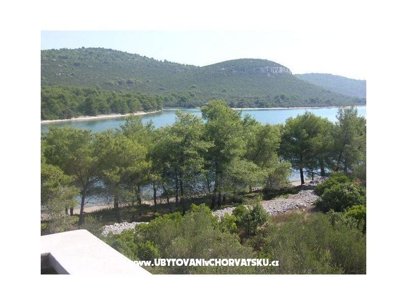 Appartements Julia – Ferienwohnung Insel Ugljan, Kroatien – Foto 17