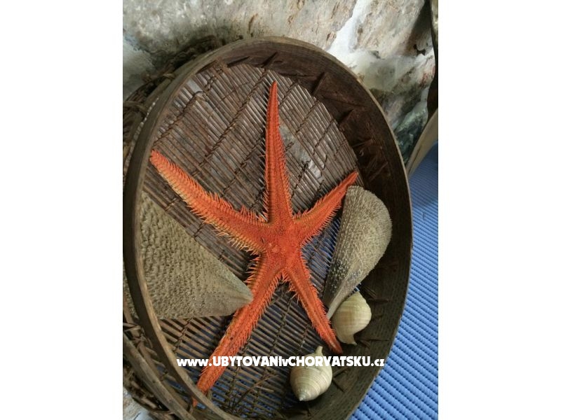 Appartements NADA Kukljica – Ferienwohnung Insel Ugljan, Kroatien – Foto 11