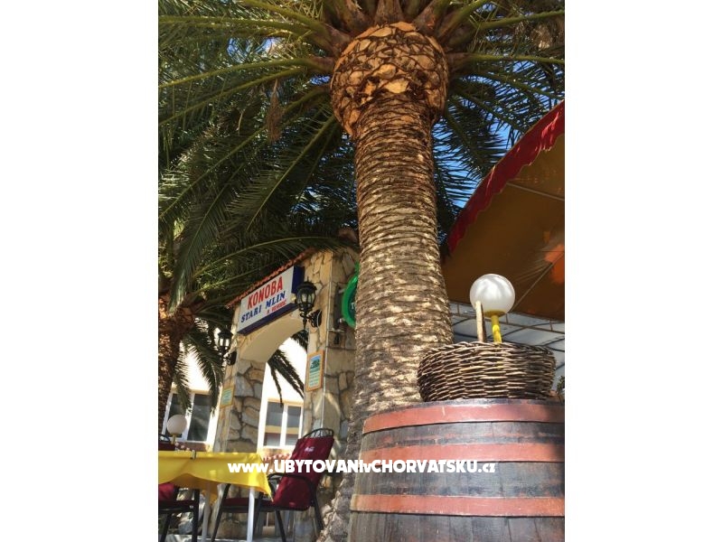 Appartements NADA Kukljica – Ferienwohnung Insel Ugljan, Kroatien – Foto 12