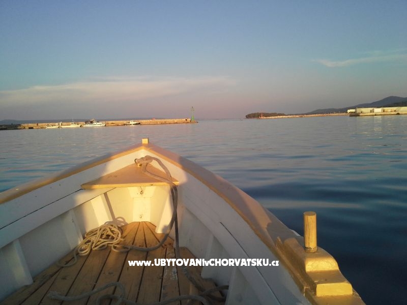 Appartements Orion – Ferienwohnung Insel Ugljan, Kroatien – Foto 15