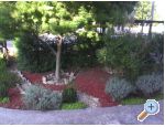 Appartements Rozelyn - ostrov Ugljan Croatie