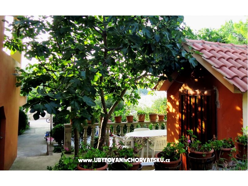 Appartements Tereza – Ferienwohnung Insel Ugljan, Kroatien – Foto 4