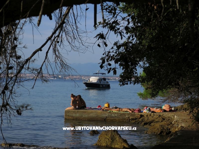 Appartements Tereza – Ferienwohnung Insel Ugljan, Kroatien – Foto 9