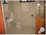 Appartements Tomislav - ostrov Ugljan Kroatien