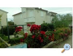 Appartements Tomislav - ostrov Ugljan Kroatien