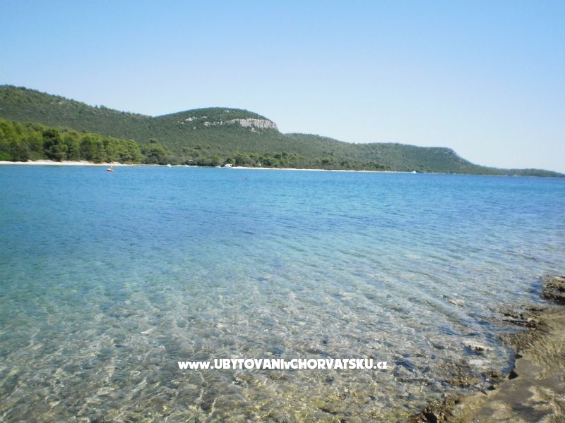 Ferienwohnungen Lidija – Ferienwohnung Insel Ugljan, Kroatien – Foto 3