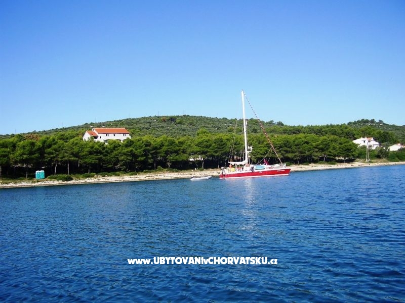 Ferienwohnungen Lidija – Ferienwohnung Insel Ugljan, Kroatien – Foto 9