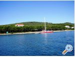 Ferienwohnungen Lidija – Insel Ugljan – Vorschau 9