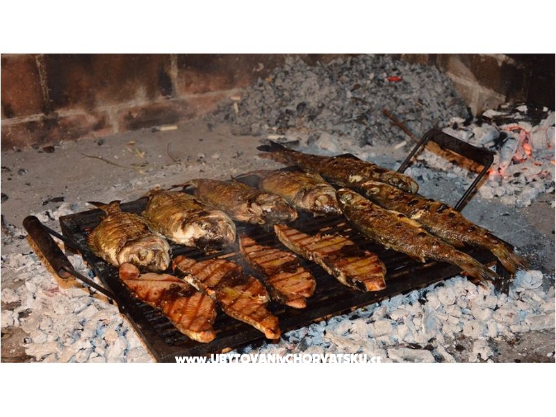 Ferienwohnungen Longin – Ferienwohnung Insel Ugljan, Kroatien – Foto 16