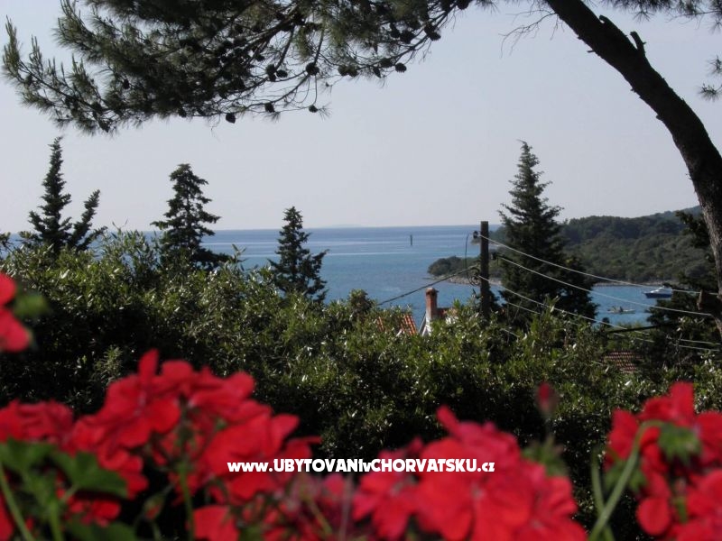 Ferienwohnungen Mrva – Ferienwohnung Insel Ugljan, Kroatien – Foto 11