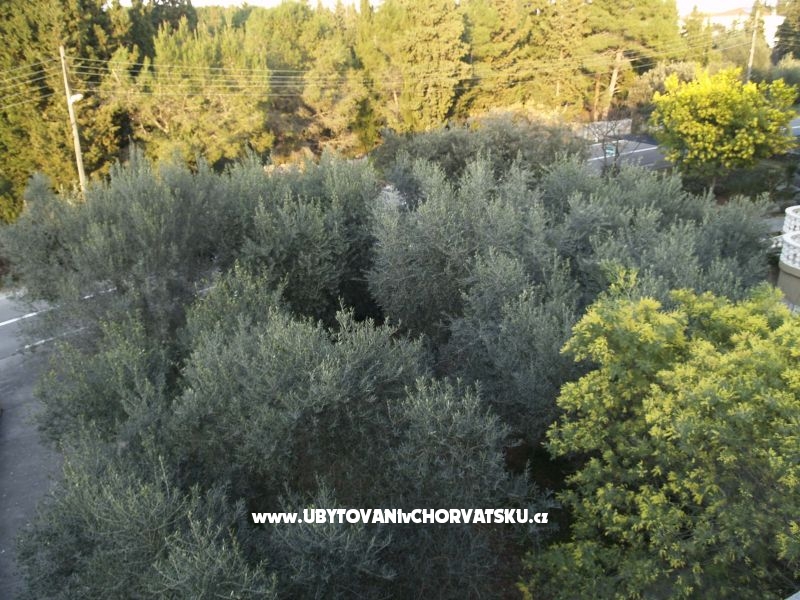 Ferienwohnungen Mrva – Ferienwohnung Insel Ugljan, Kroatien – Foto 12