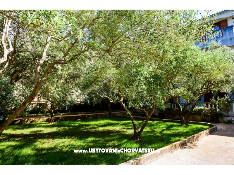 Ferienwohnungen Mrva – Ferienwohnung Insel Ugljan, Kroatien – Foto 2