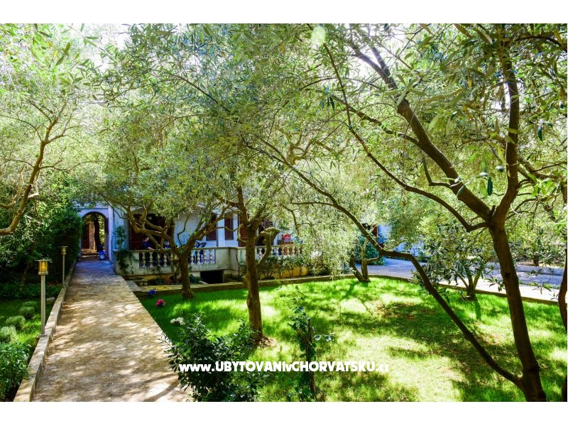 Ferienwohnungen Mrva – Ferienwohnung Insel Ugljan, Kroatien – Foto 3