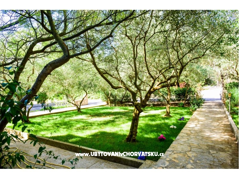 Ferienwohnungen Mrva – Ferienwohnung Insel Ugljan, Kroatien – Foto 4