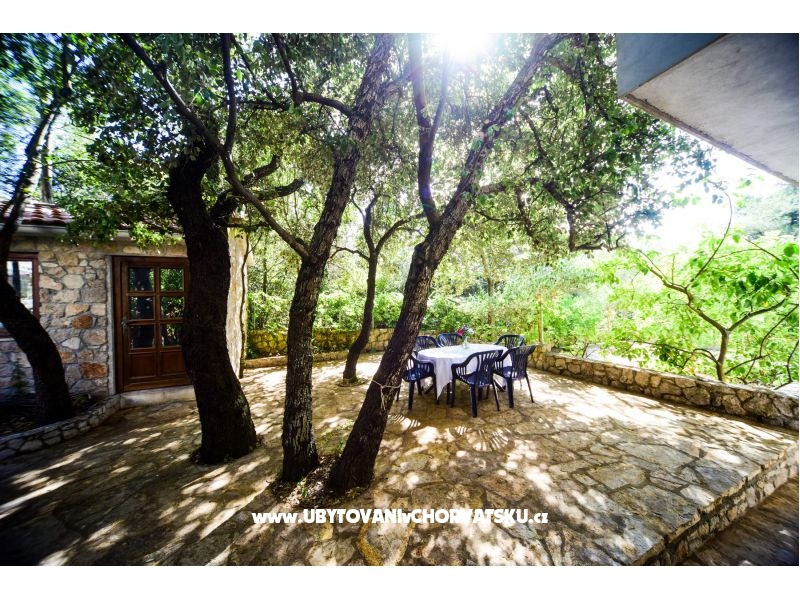 Ferienwohnungen Mrva – Ferienwohnung Insel Ugljan, Kroatien – Foto 5