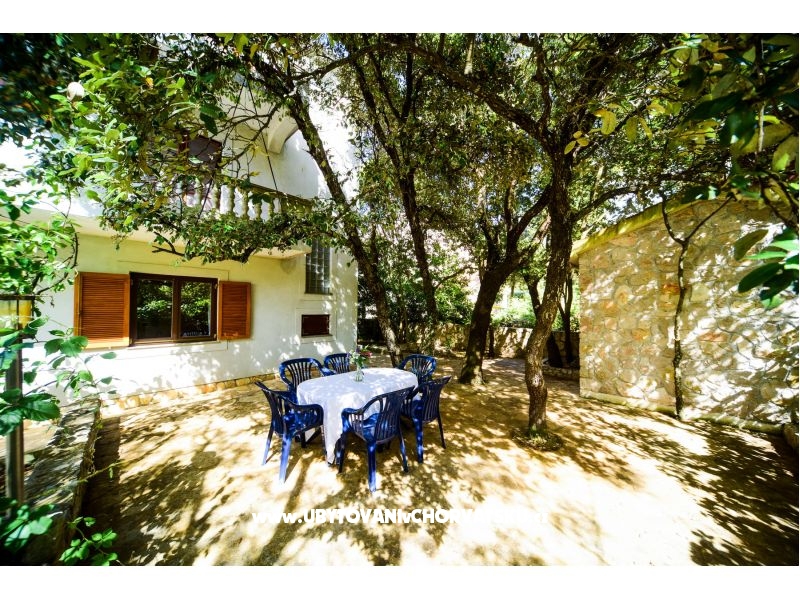 Ferienwohnungen Mrva – Ferienwohnung Insel Ugljan, Kroatien – Foto 7