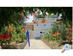 Appartements Sunrise  Kali - ostrov Ugljan Croatie