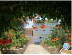 Appartements Sunrise  Kali - ostrov Ugljan Croatie