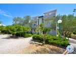 Appartements  ANA - ostrov Ugljan Croatie