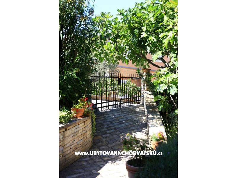 Casa Oleander  – Ferienwohnung Insel Ugljan, Kroatien – Foto 10