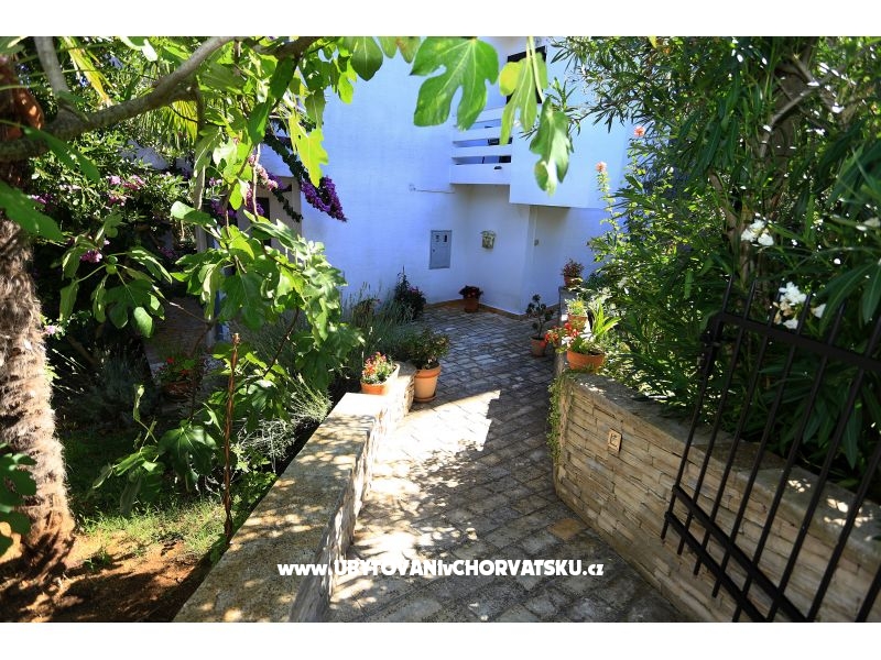 Casa Oleander  – Ferienwohnung Insel Ugljan, Kroatien – Foto 11