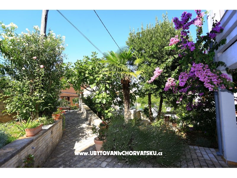 Casa Oleander  – Ferienwohnung Insel Ugljan, Kroatien – Foto 15