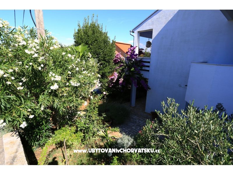 Casa Oleander  – Ferienwohnung Insel Ugljan, Kroatien – Foto 16