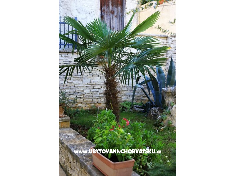 Casa Oleander  – Ferienwohnung Insel Ugljan, Kroatien – Foto 3