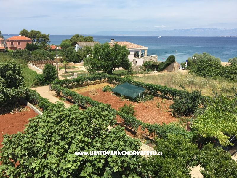 Katarina Appartements – Ferienwohnung Insel Ugljan, Kroatien – Foto 5