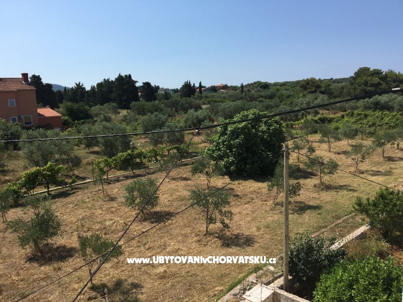 Katarina Appartements – Ferienwohnung Insel Ugljan, Kroatien – Foto 6