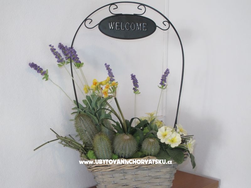 Kuća Toma – Ferienwohnung Insel Ugljan, Kroatien – Foto 13