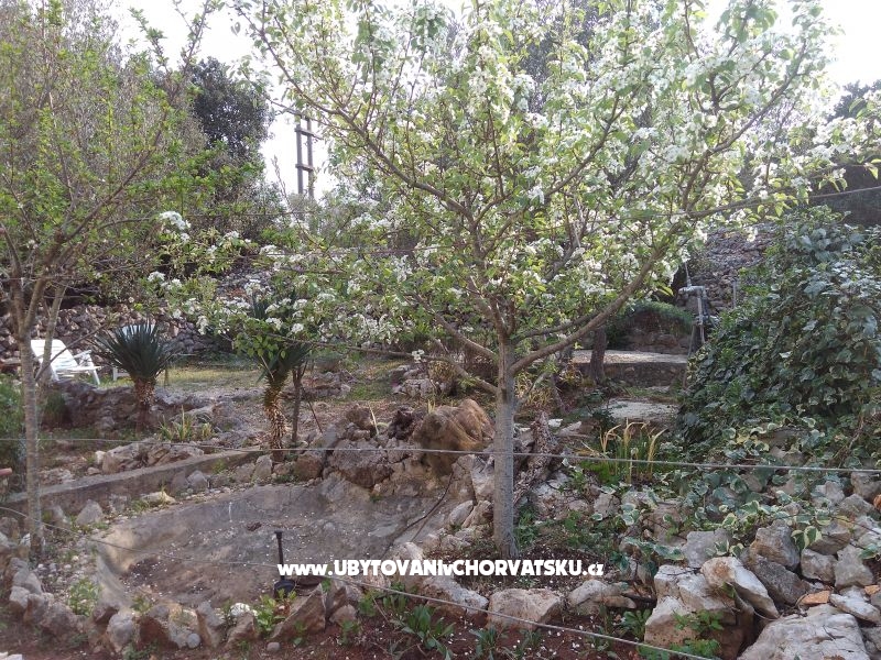 Kuća za odmor Ivan – Ferienwohnung Insel Ugljan, Kroatien – Foto 10