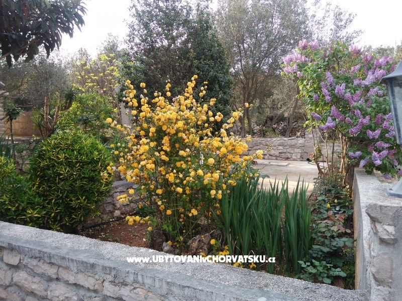 Kuća za odmor Ivan – Ferienwohnung Insel Ugljan, Kroatien – Foto 12