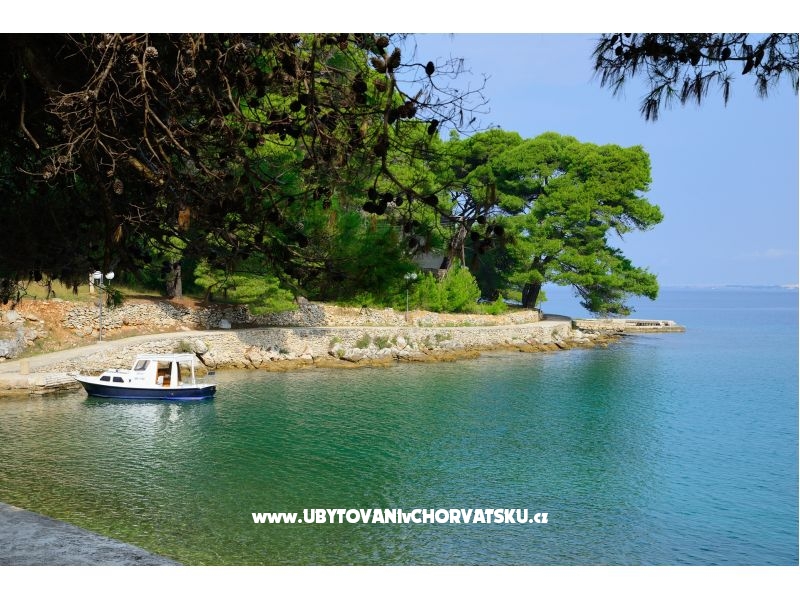 Kuća za odmor Martin – Ferienwohnung Insel Ugljan, Kroatien – Foto 9