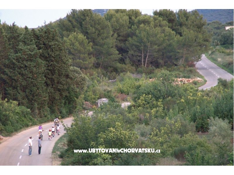 Appartements Mirjana – Ferienwohnung Insel Ugljan, Kroatien – Foto 11