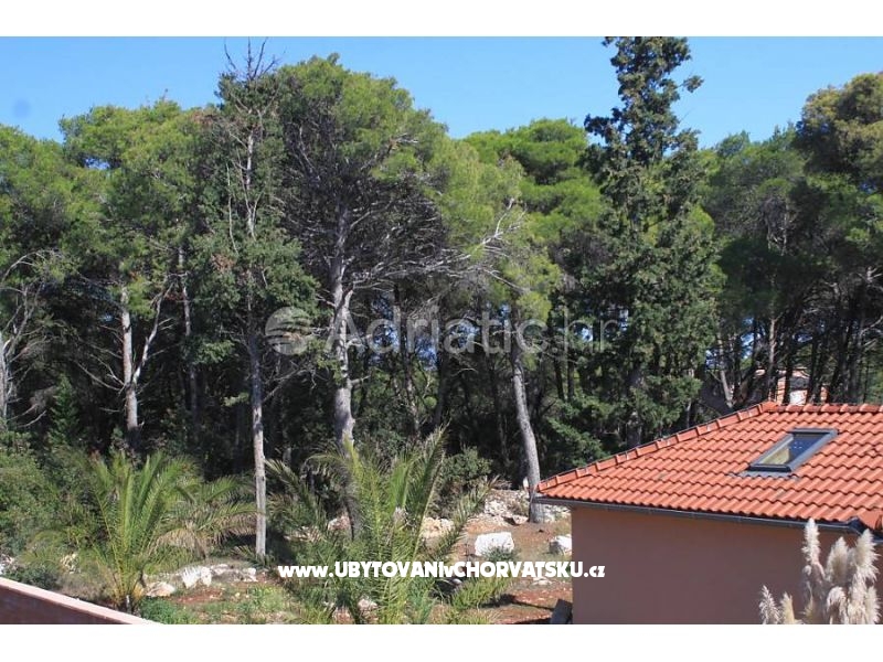 Appartements Mirjana – Ferienwohnung Insel Ugljan, Kroatien – Foto 14