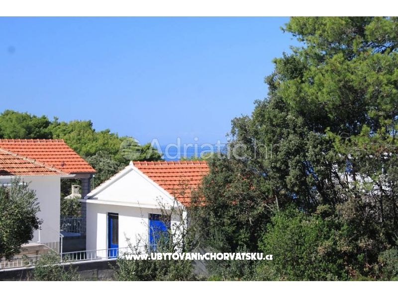 Appartements Mirjana – Ferienwohnung Insel Ugljan, Kroatien – Foto 15