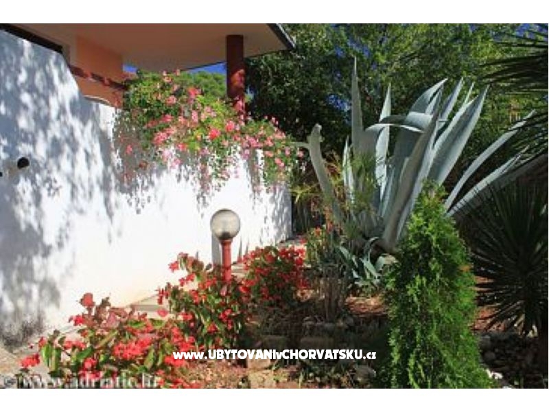 Appartements Mirjana – Ferienwohnung Insel Ugljan, Kroatien – Foto 7