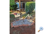 Appartements Boris - Umag Kroatien