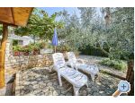 Apartmaji Boris - Umag Hrvaka
