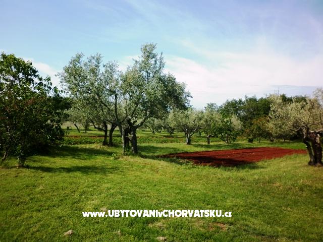 Apartmány Linda – ubytování Umag, Chorvatsko – foto 3