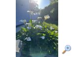Holiday Dm Gabi - Umag Chorvatsko