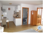 Apartment Baladur - Umag Kroatien