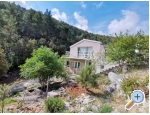 Tina's house - Vela Luka  Korula Kroatien