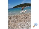 Tina's house - Vela Luka  Korula Kroatien