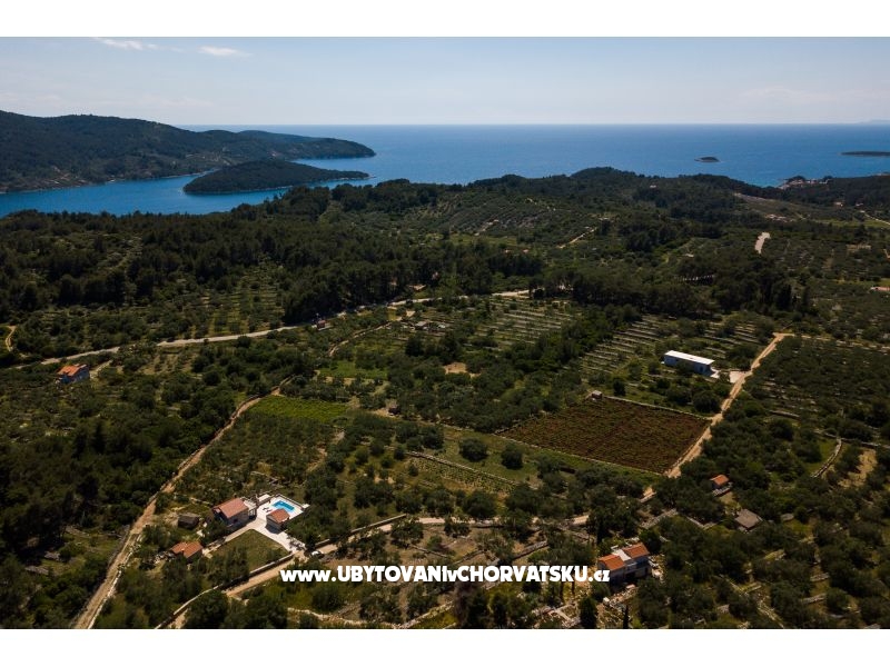 Villa Barbara / Zli stup – Ferienwohnung Vela Luka – Korcula, Kroatien – Foto 12