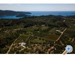 Villa Barbara / Zli stup – Vela Luka – Korcula – Vorschau 12