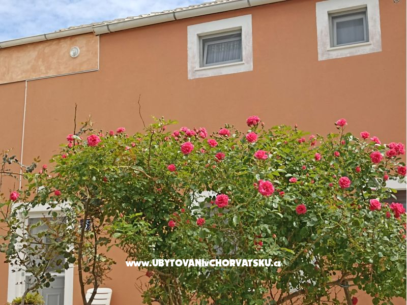 App Bonić – ubytování Veli Lošinj, Chorvatsko – foto 100