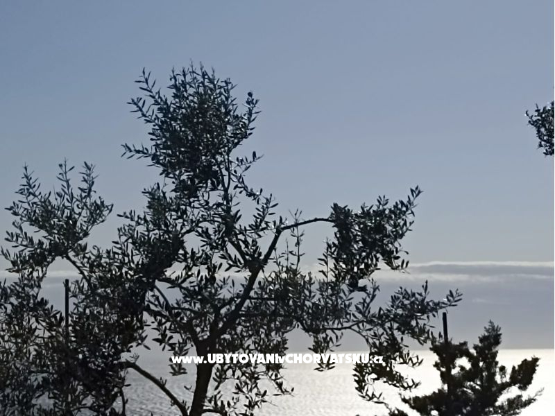 App Bonić – ubytování Veli Lošinj, Chorvatsko – foto 102