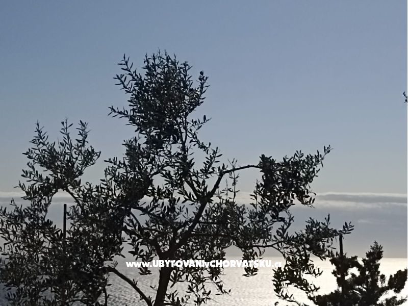 App Bonić – ubytování Veli Lošinj, Chorvatsko – foto 66